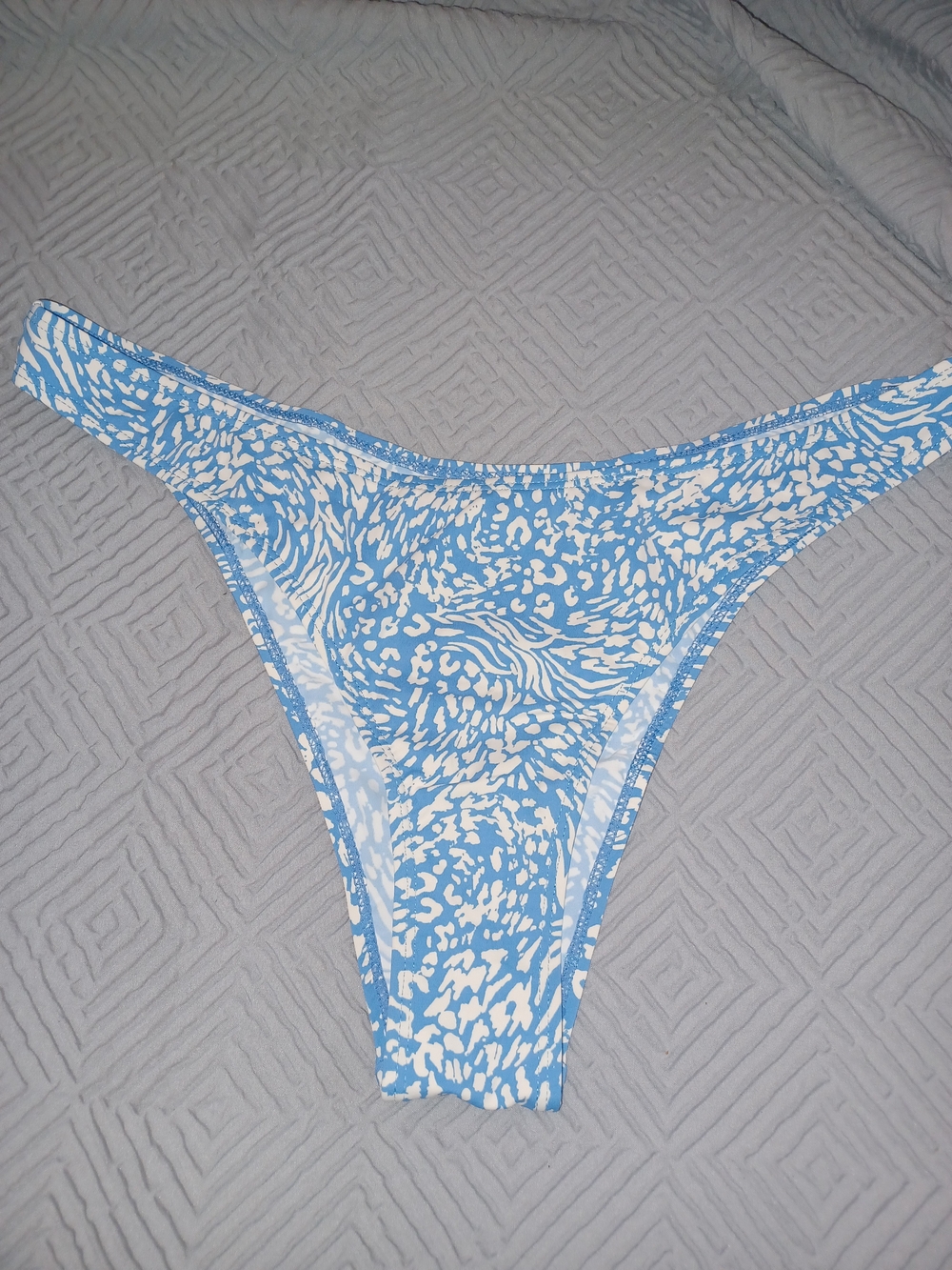 Blue and White Bikini Bottoms